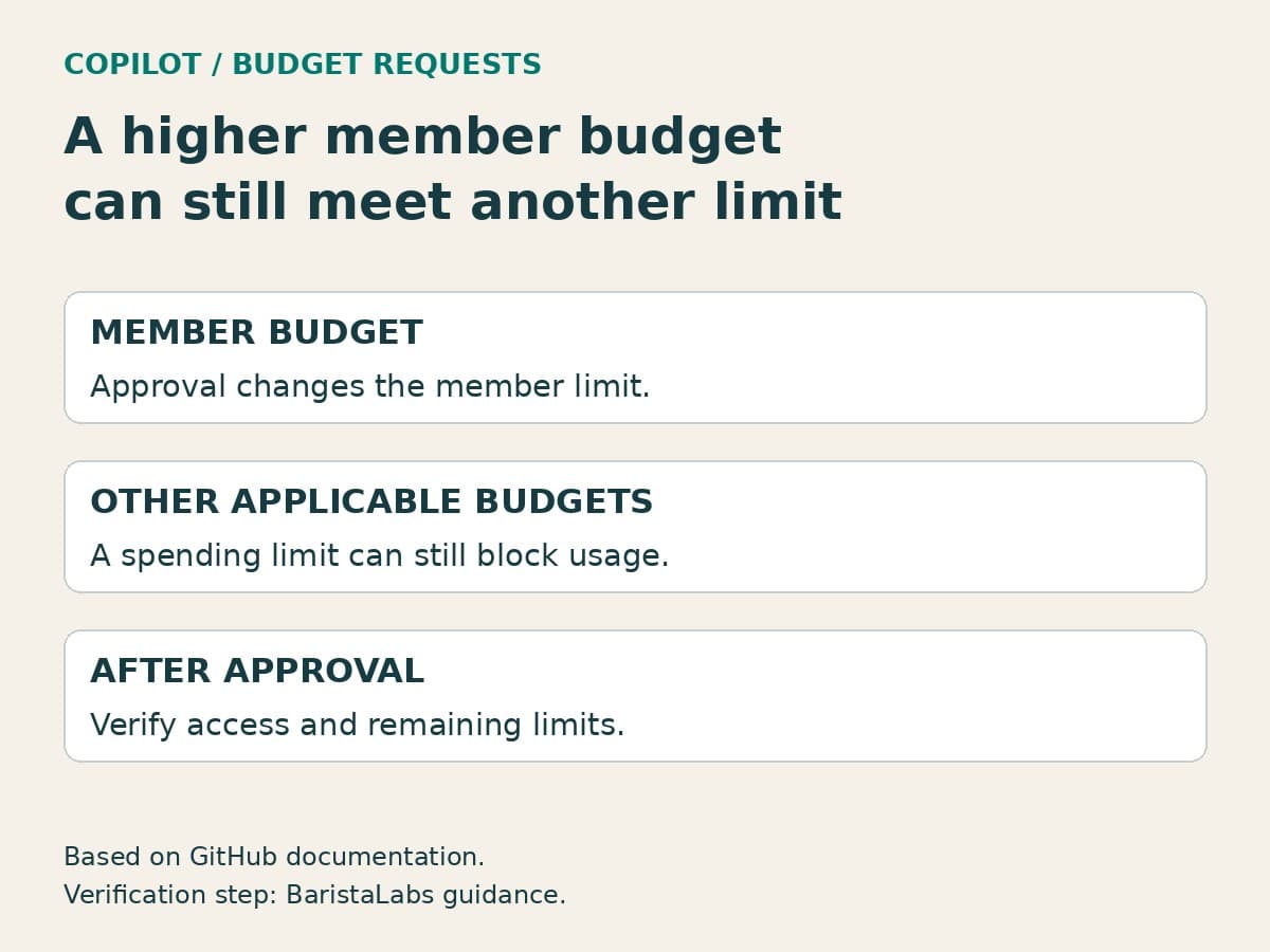A constructed guide separates the member budget, other applicable budgets, and a recommendation to verify access after approval.