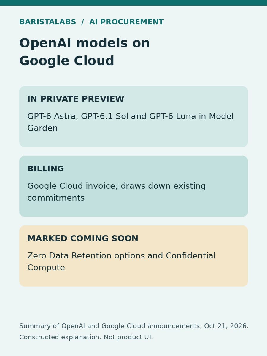 Three panels separate what Google Cloud describes as available in private preview, how billing works, and which data protections are still coming soon.